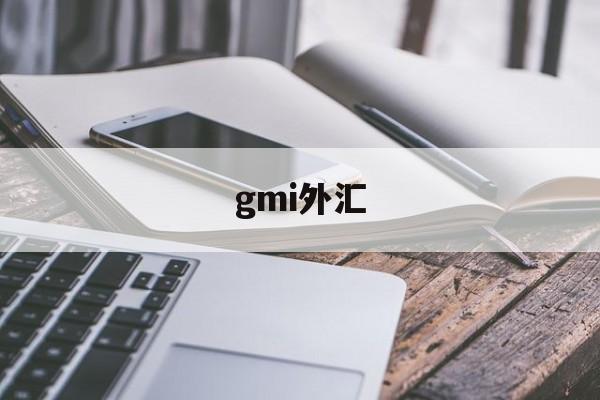 gmi外汇(gmi外汇官网登录入口)