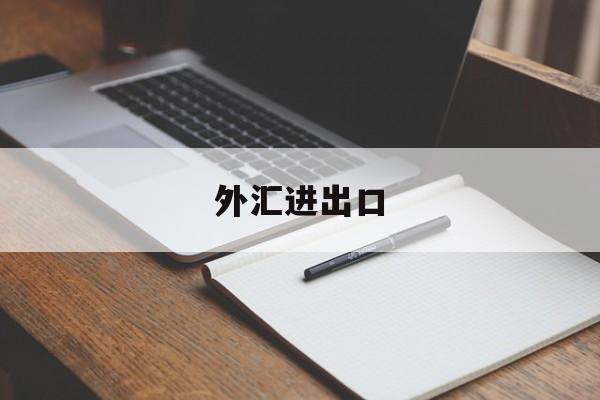 外汇进出口(外汇进出口权资质模版)